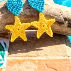 Aretes alas con estrellas